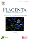 PLACENTA]