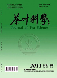 茶葉科學雜志