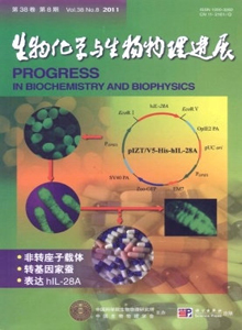 生物化學(xué)與生物物理進(jìn)展雜志