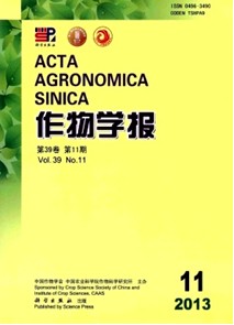 灌溉定額和施氮量對機采棉田水分運移及硝態氮殘留的影響