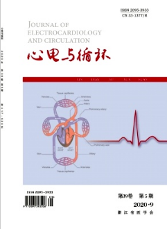 心電與循環(huán)